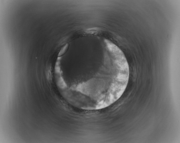 X0000113271394200910221050