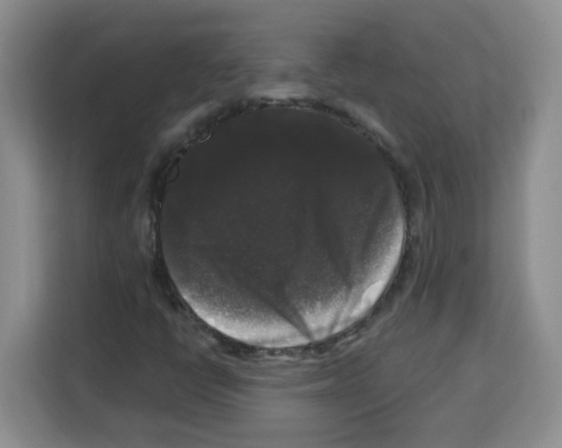 X0000113271398200910221050