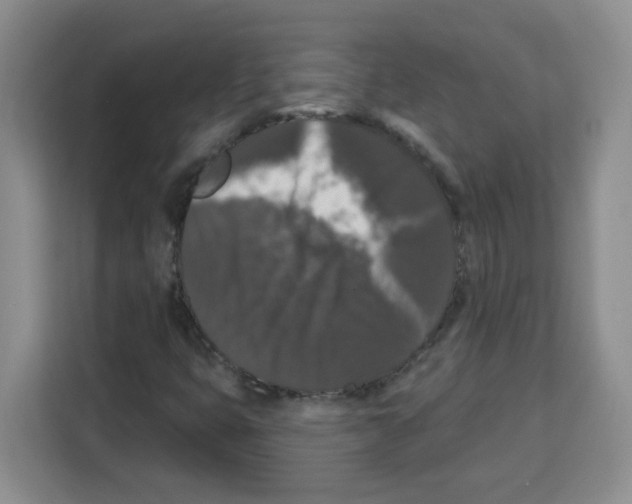 X0000113271399200910221050