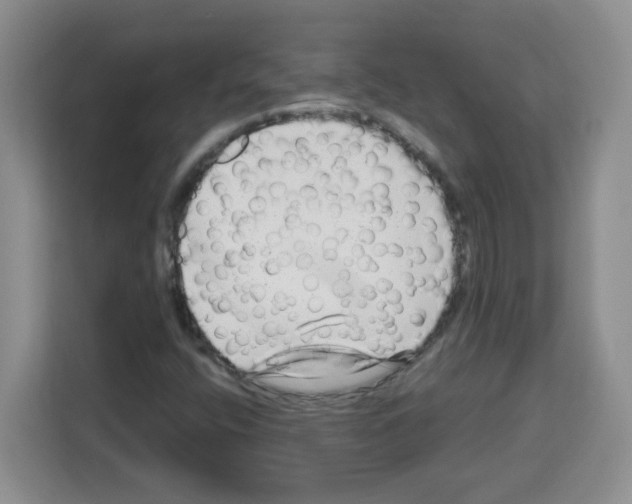 X0000113271400200910221050