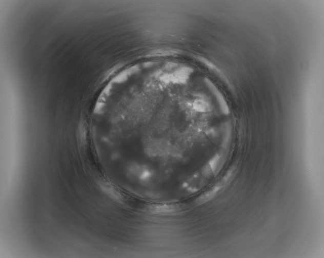 X0000113271401200910221050