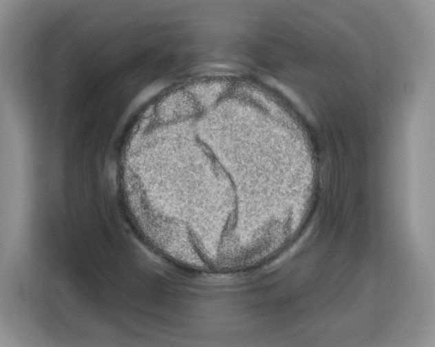 X0000113271402200910221050