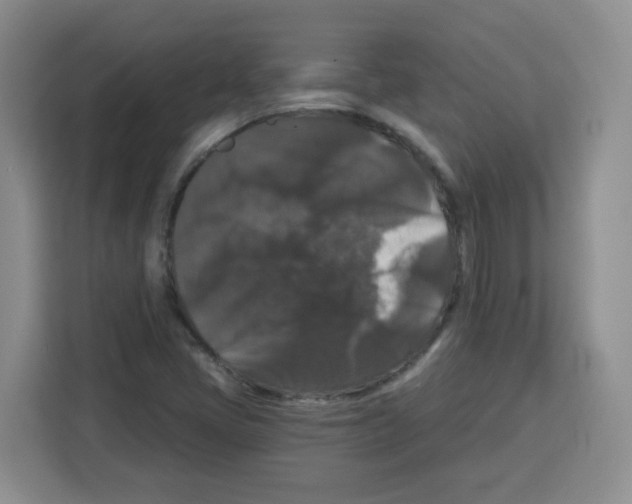 X0000113271405200910221050