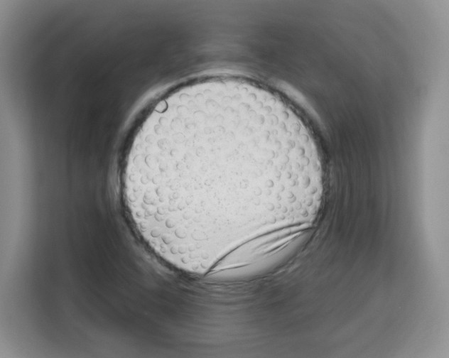 X0000113271408200910221050