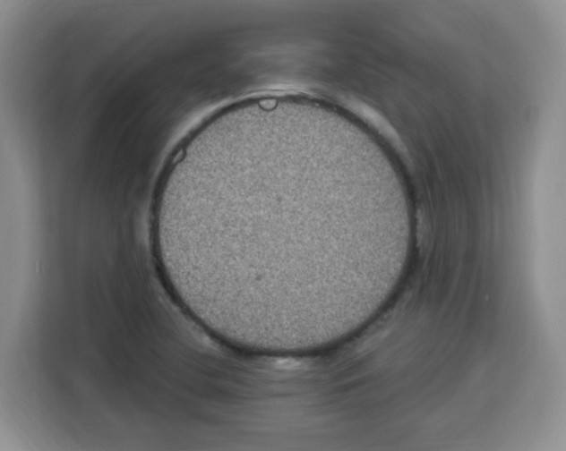 X0000113271412200910221050