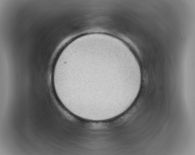 X0000113271416200910221050