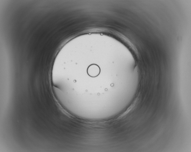 X0000113271417200910221050