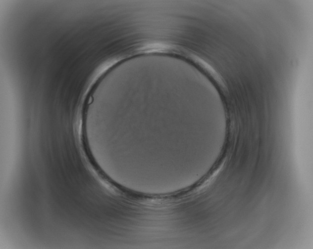 X0000113271418200910221050