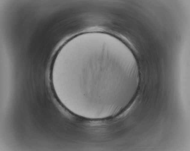 X0000113271422200910221050