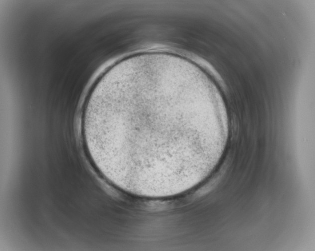 X0000113271424200910221050