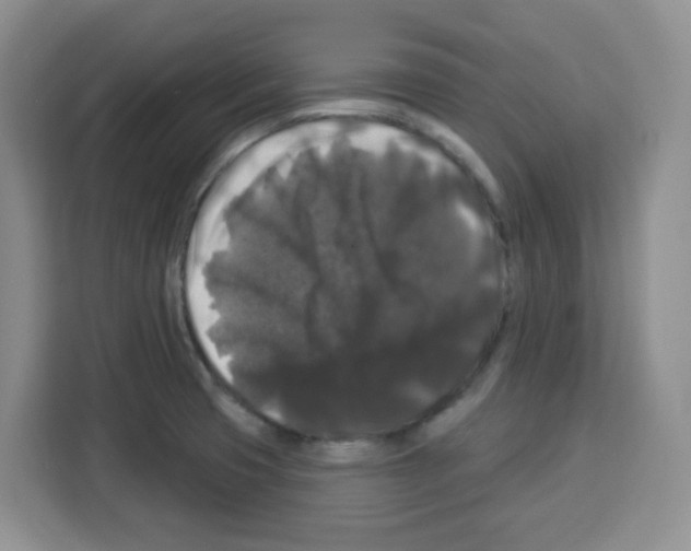 X0000113271425200910221050