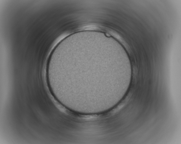 X0000113271426200910221050