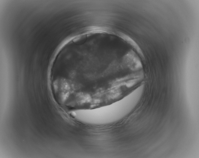 X0000113271427200910221050