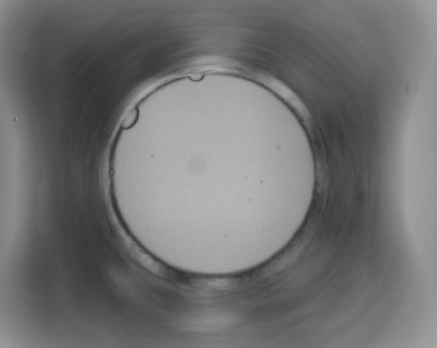 X0000113271431200910221050