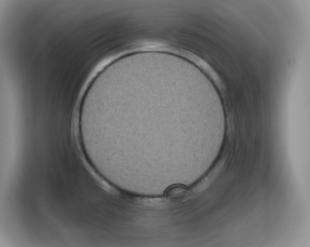 X0000113271432200910221050