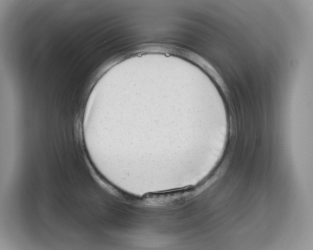 X0000113271433200910221050