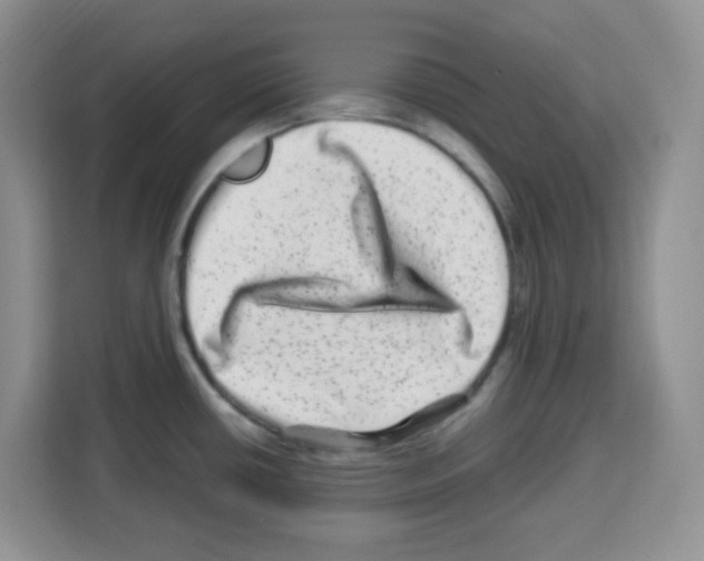 X0000113271434200910221050