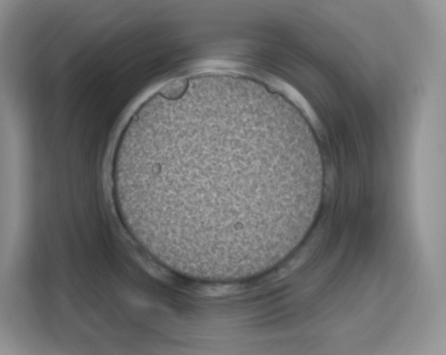 X0000113271435200910221050