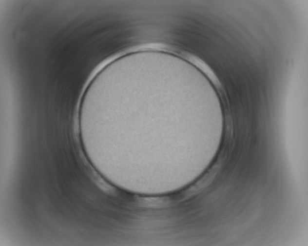 X0000113271436200910221050