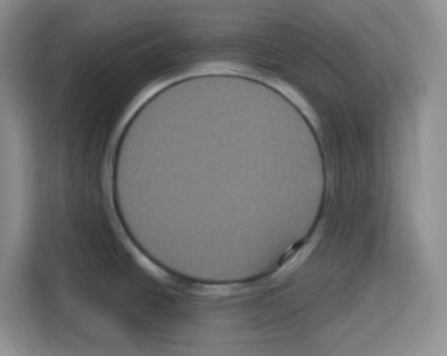 X0000113271438200910221050