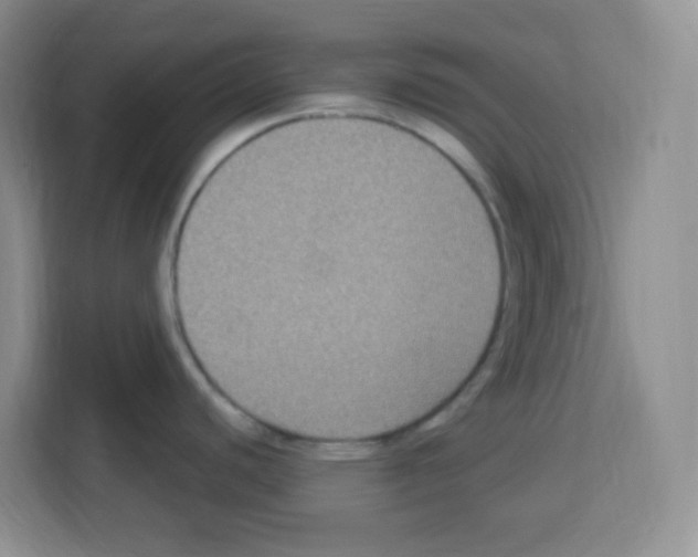 X0000113271440200910221050