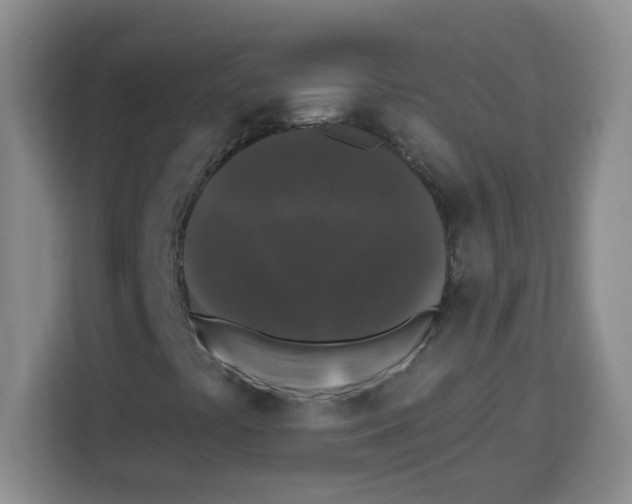 X0000113271441200910221050