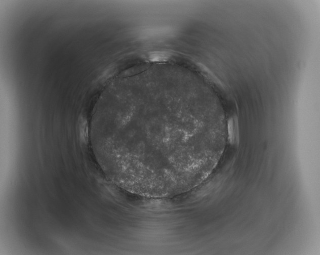 X0000113271443200910221050