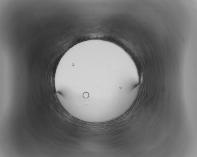 X0000113271444200910221050