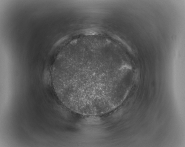 X0000113271446200910221049