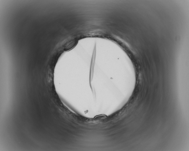 X0000113271447200910221049