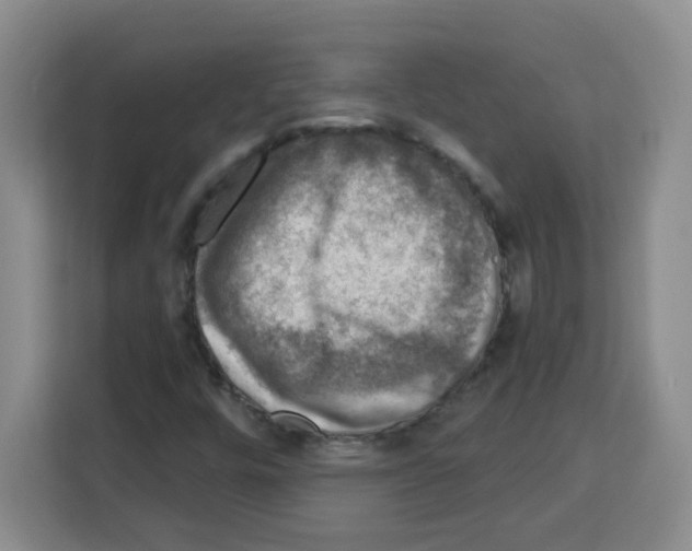 X0000113271448200910221049