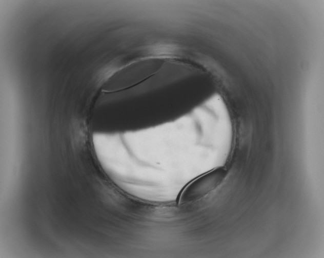 X0000113271449200910221049