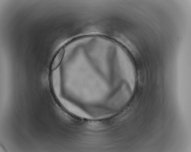 X0000113271452200910221049