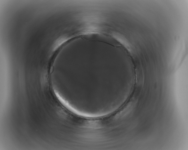 X0000113271453200910221049