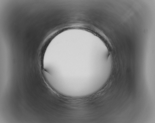 X0000113271456200910221049