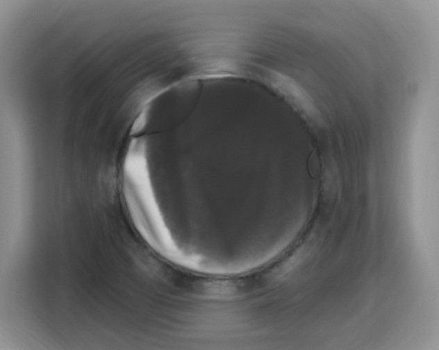 X0000113271457200910221049