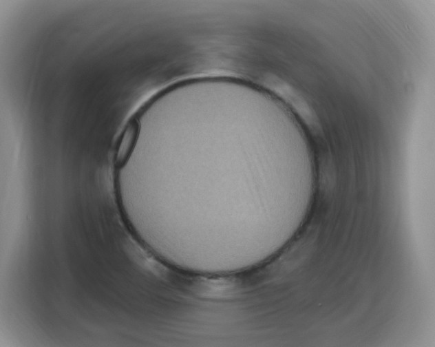 X0000113271460200910221049