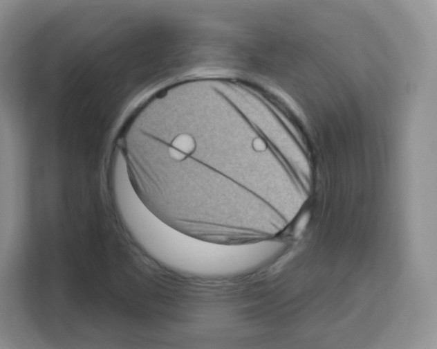 X0000113271461200910221049