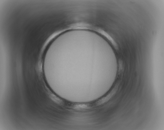 X0000113271462200910221049