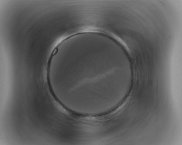 X0000113271463200910221049