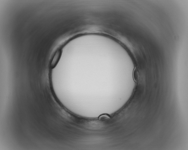 X0000113271464200910221049