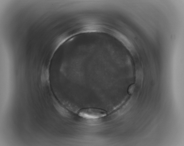 X0000113271465200910221049