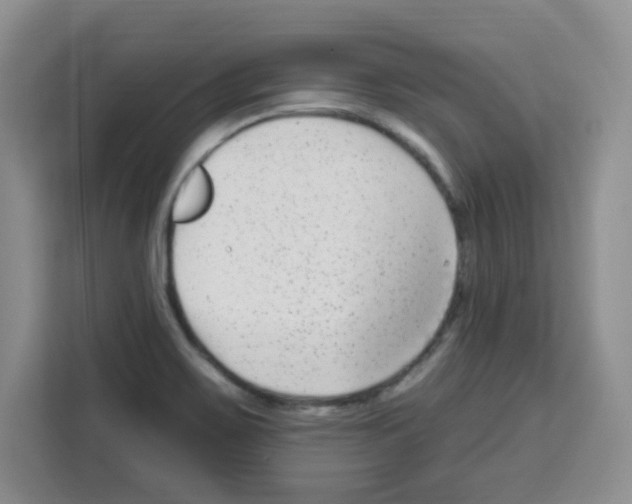 X0000113271467200910221049