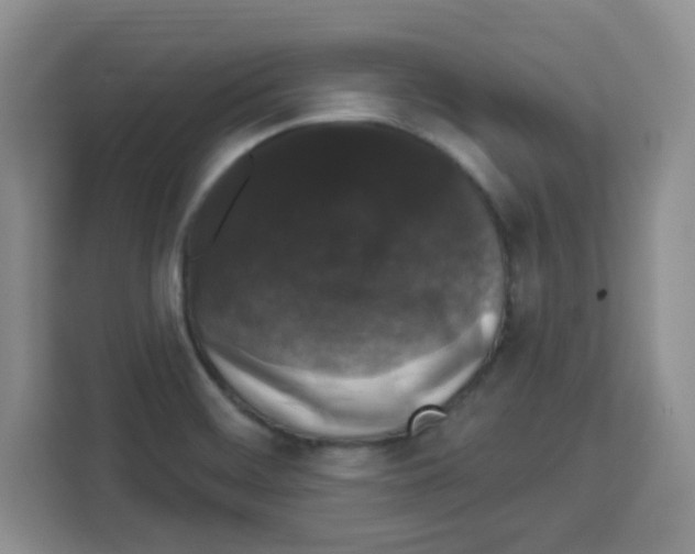 X0000113271468200910221049