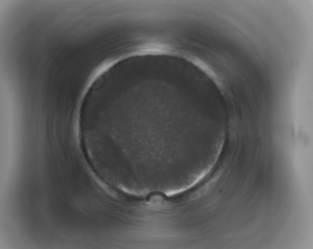 X0000113271469200910221049