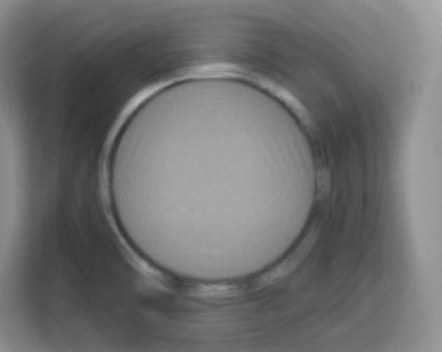 X0000113271470200910221049