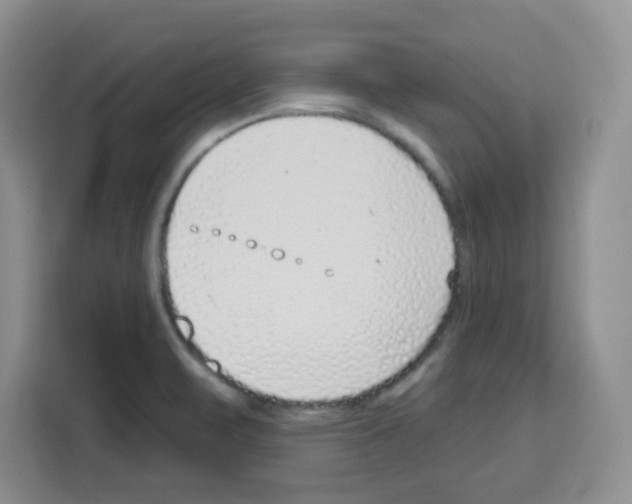 X0000113271471200910221049