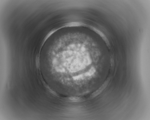 X0000113271473200910221049