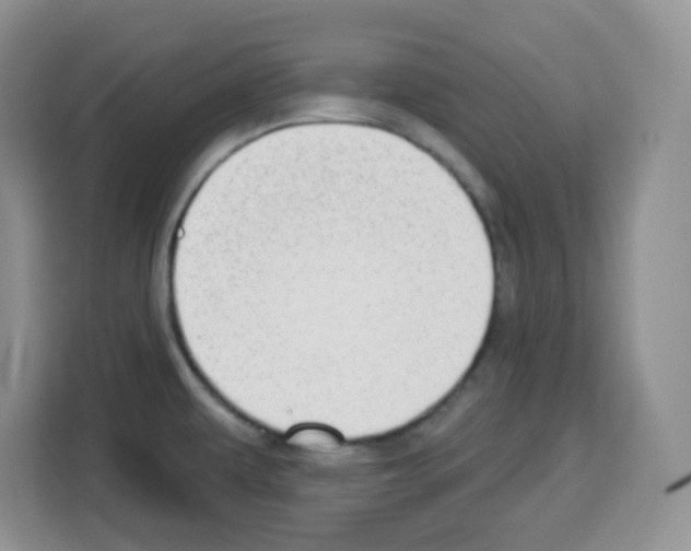 X0000113271479200910221049