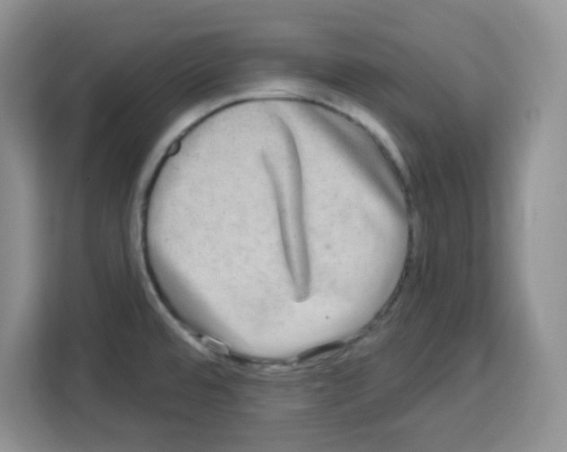 X0000113271480200910221049